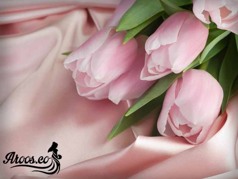طراحی و اجرای سفره عقد طراحی و اجرای سفره عقد