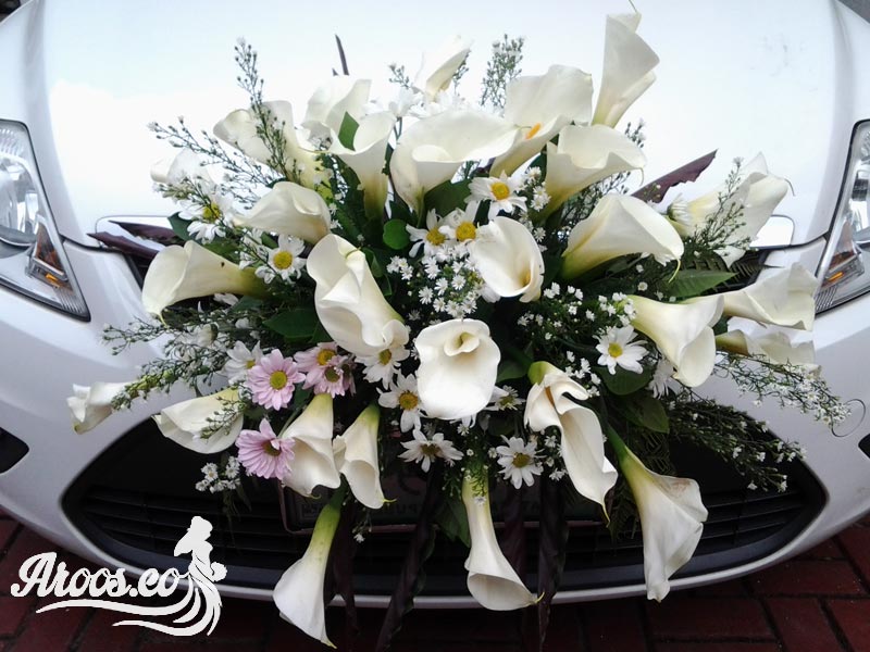 ماشین عروس لاکچری سواری