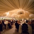 carasco-luxury wedding