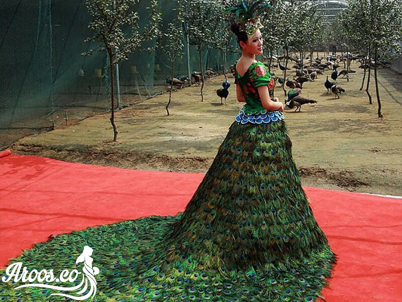 رسومات عجیب عروسی