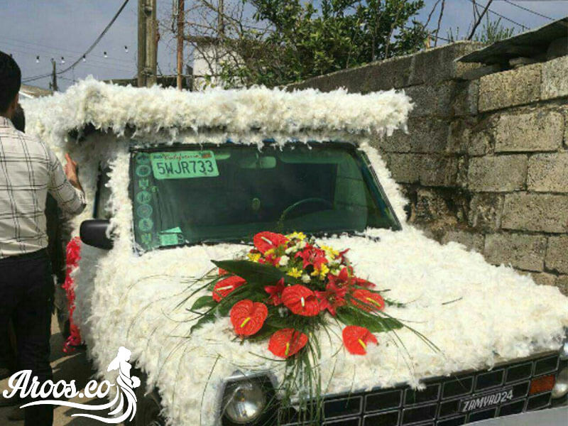 ازدواج عجیب